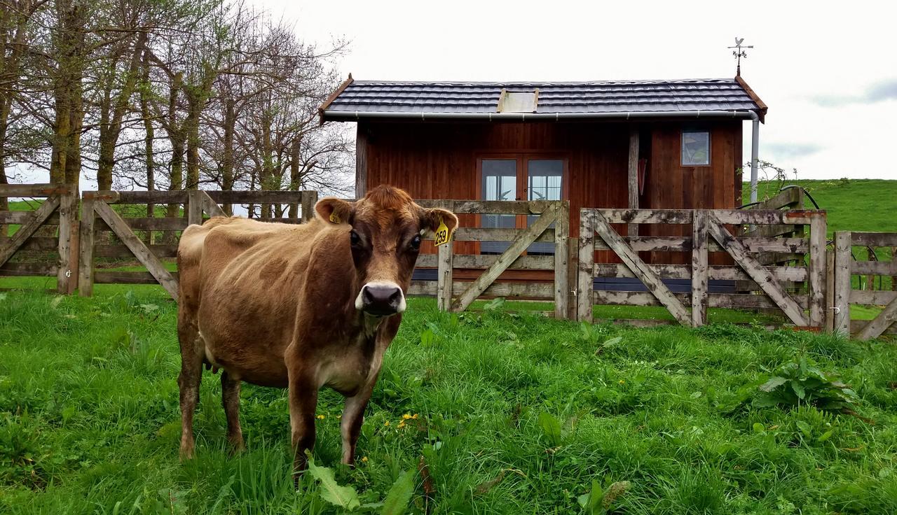 The Old Postoffice Bed & Breakfast Роторуа Екстериор снимка